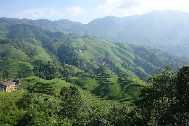大界千层天梯观景点