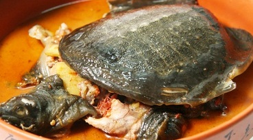 味港餐厅(江口大厦店)