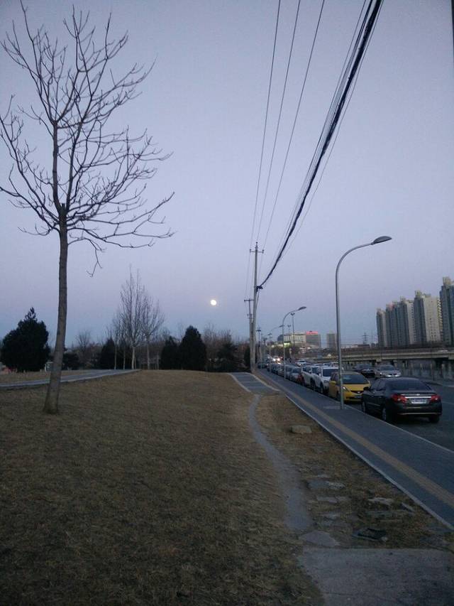 珠江绿洲文化广场