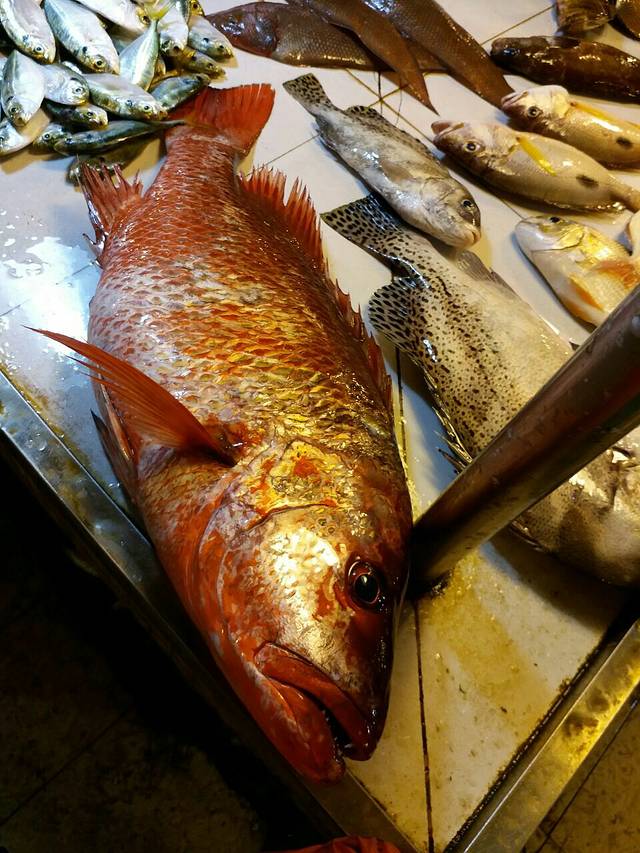 闸坡水产品交易市场