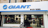 GIANT捷安特(正阳大街店)