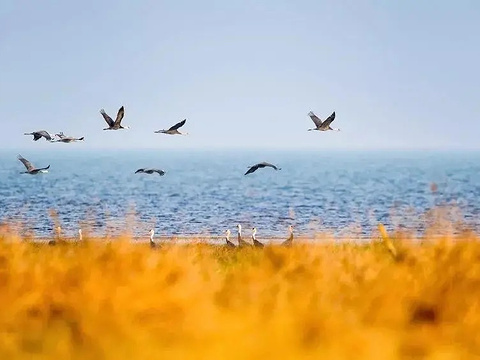 南昌鄱阳湖国家自然保护区旅游景点图片