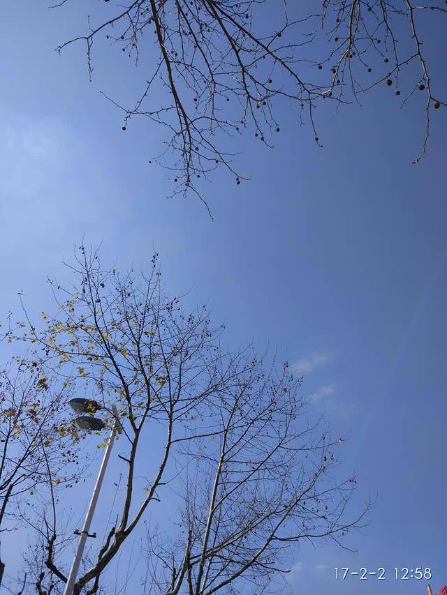 小杨生煎(上海西郊百联店)