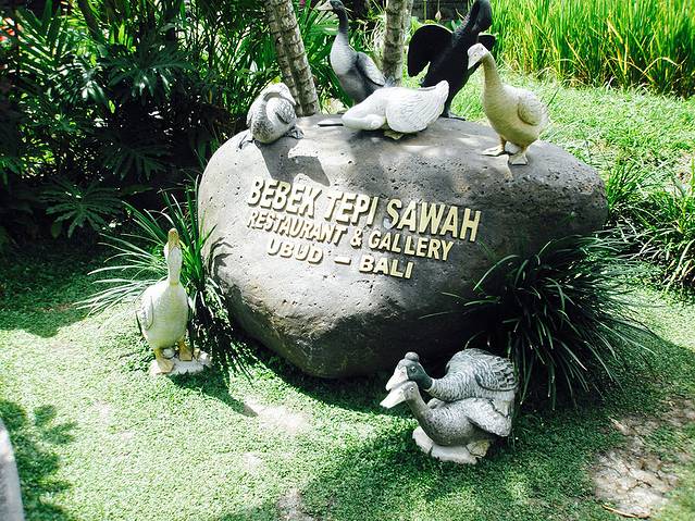 Bebek Tepi Sawah