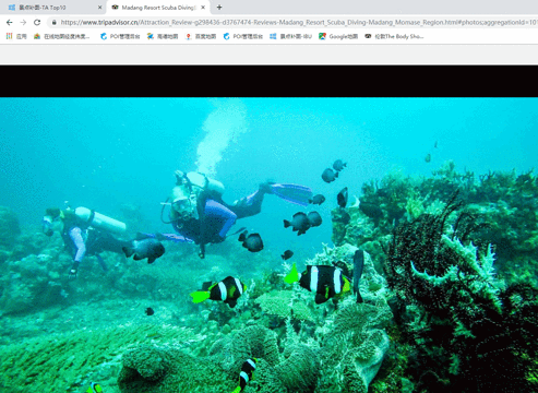 Madang Resort Scuba Diving旅游景点图片