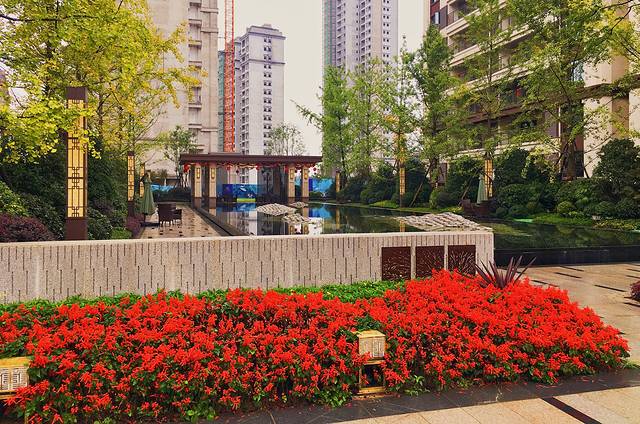 绝味鸭脖(泸州十店)