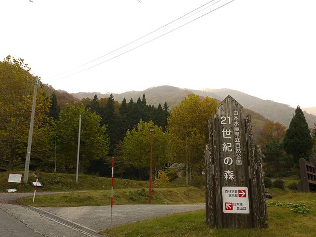 旭川21世纪之森