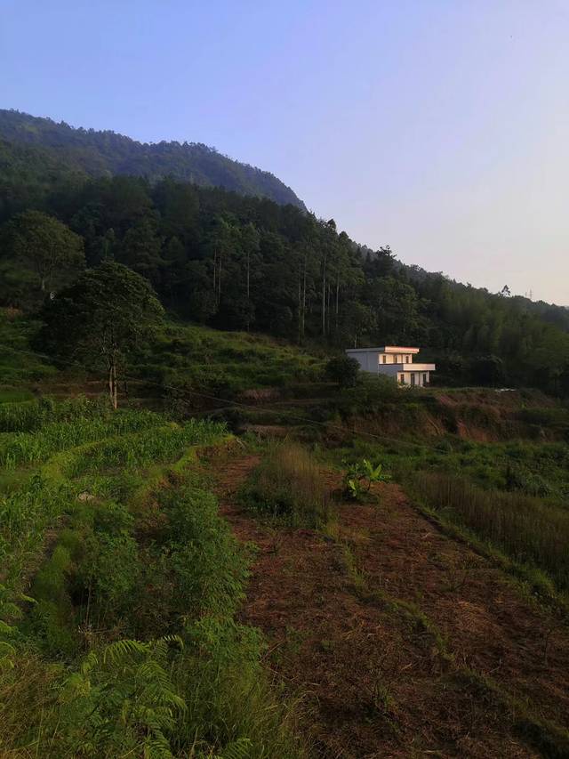 白鹭湖国家森林公园