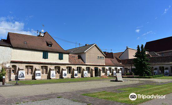 Musee de la Chartreuse旅游景点图片