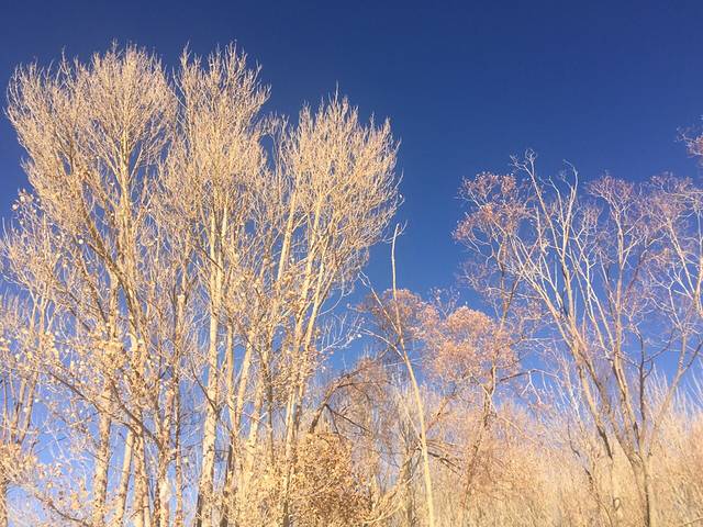 民和县桃花源景区