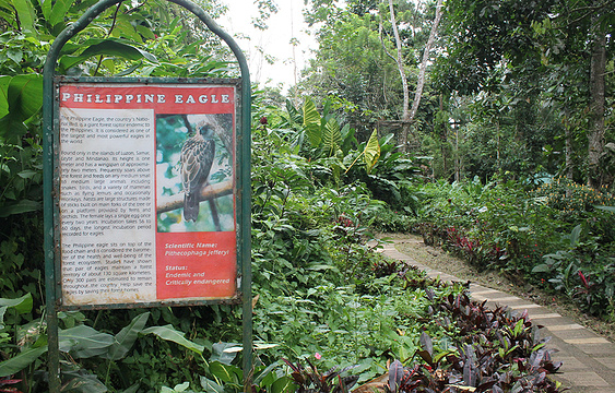 菲律宾老鹰和自然研究中心旅游景点图片