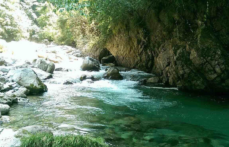 板仓自然保护区