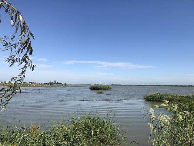 淮河柳树湾湿地公园