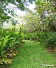 Hana Maui Botanical Gardens