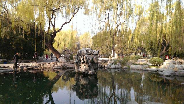 南汇新城城市公园