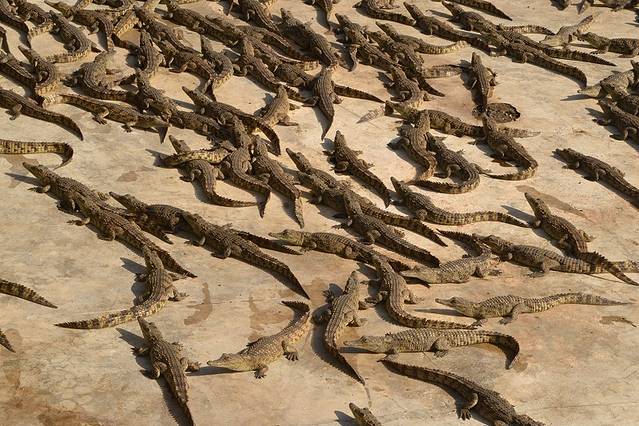 阿瓦什国家公园