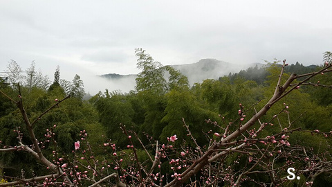 天宝岩自然保护区