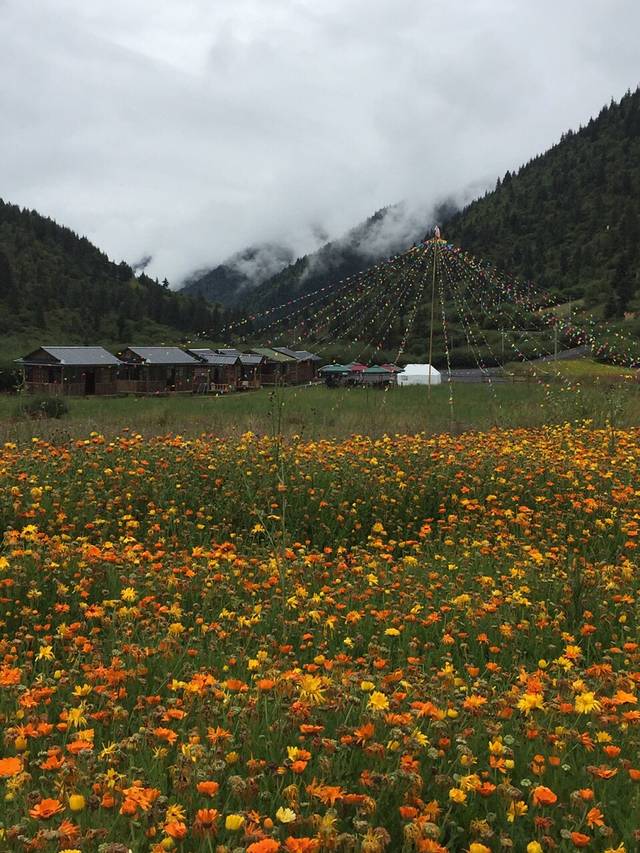 湿地花乡生态园