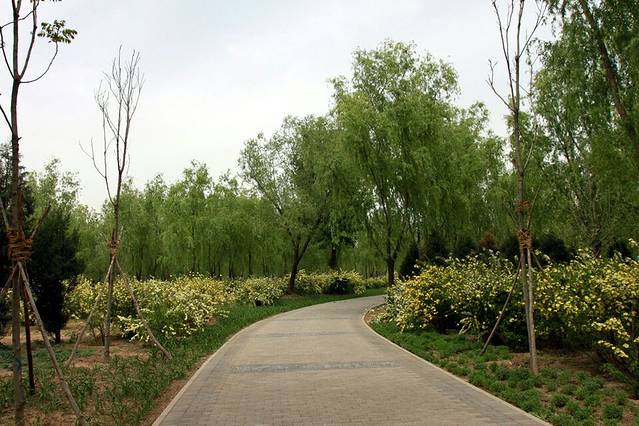 奥北森林公园-南园