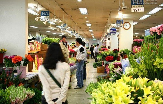 Yangjae Flower Market Center旅游景点图片