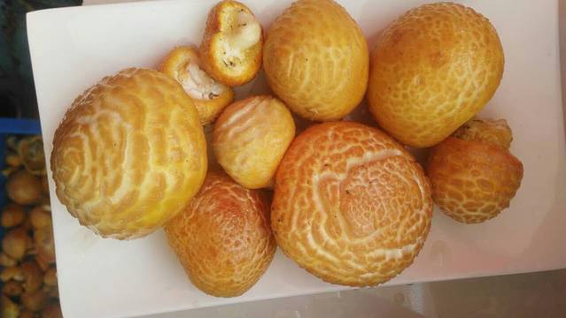 养生菌王府(八宿店)