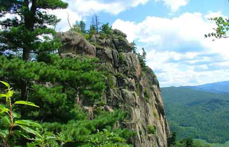 桃山国家森林公园