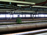 Kinellan Tea Factory