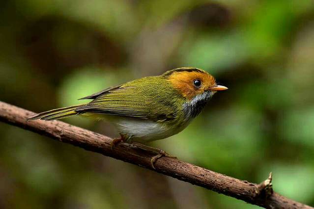 温州市景山森林公园