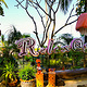 Relax Restaurant and Bar