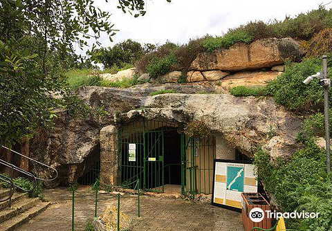 Ghar Dalam Cave and Museum的图片