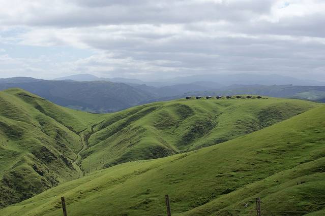 贝尔蒙特地区公园