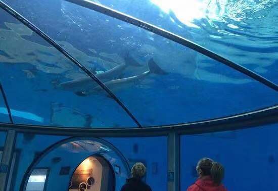 印第安纳波利斯动物园