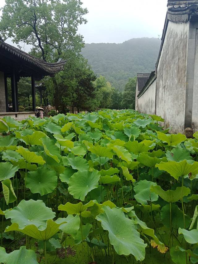 兰亭风景区-御碑亭