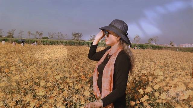 仙眷花洲花海公园