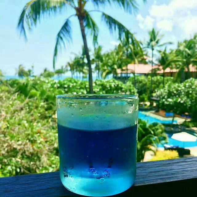 百岁鱼新乡总店