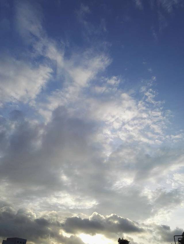 菜真湘(厦岗店)