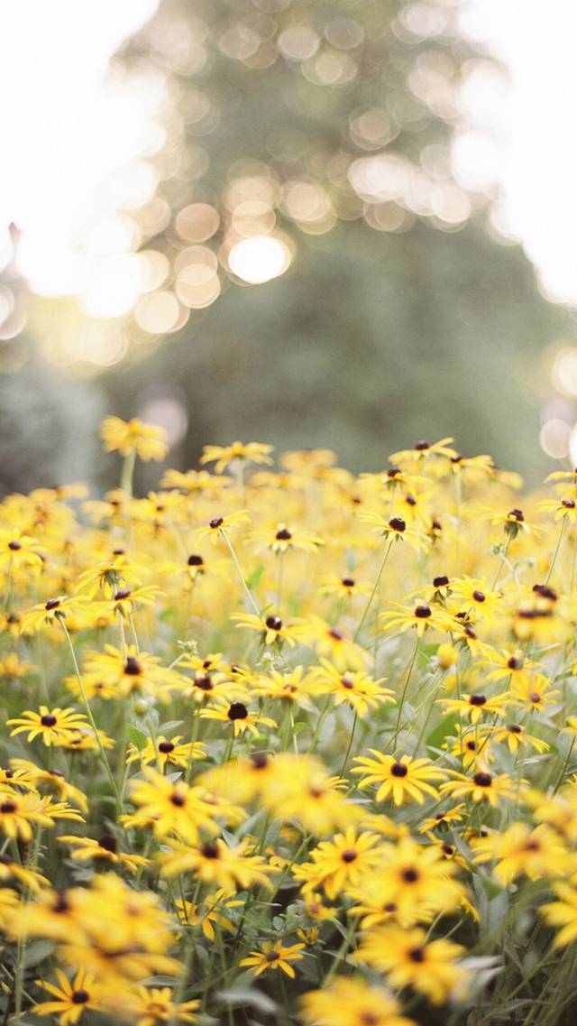 悦儿湾水上乐园