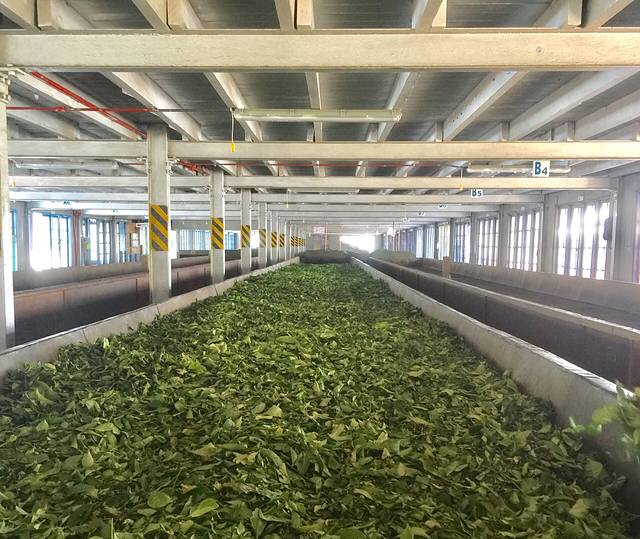 BlueField Tea Restaurant