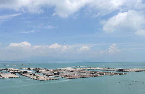 东山岛旅游景点攻略图