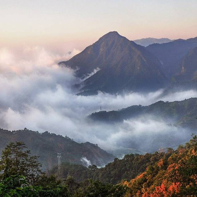 福建茫荡山国家级自然保护区