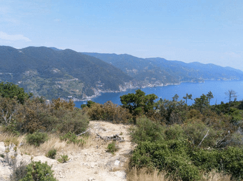 Levanto to Monterosso Trail旅游景点图片