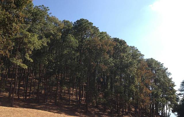 松山战役纪念馆