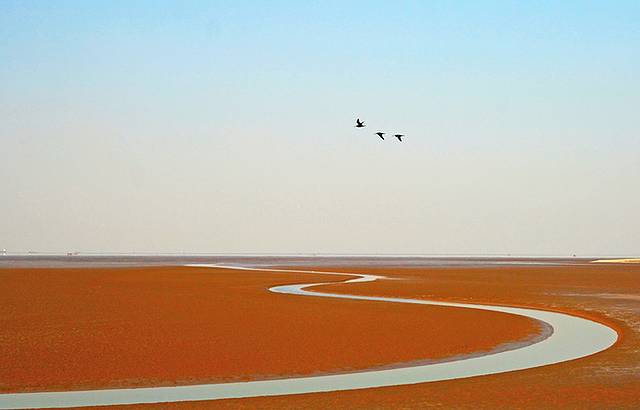 中国无棣贝壳堤岛