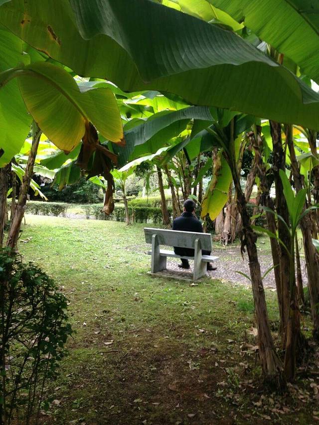 罗汉山森林公园