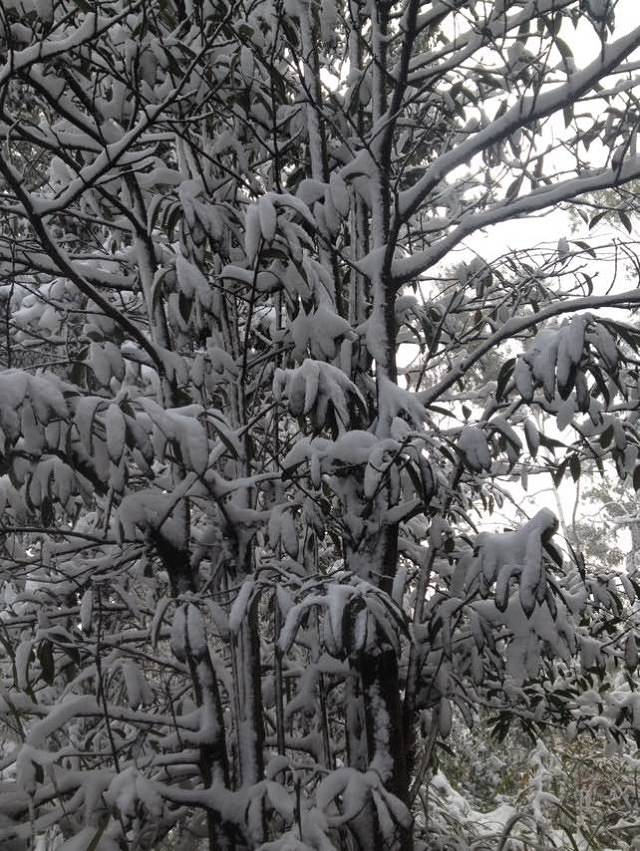 青山岭森林公园