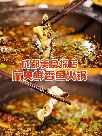 "【仙气飘飘鱼火锅——大院河鲜】_大院河·仙鱼莊(九眼桥店)"的评论图片