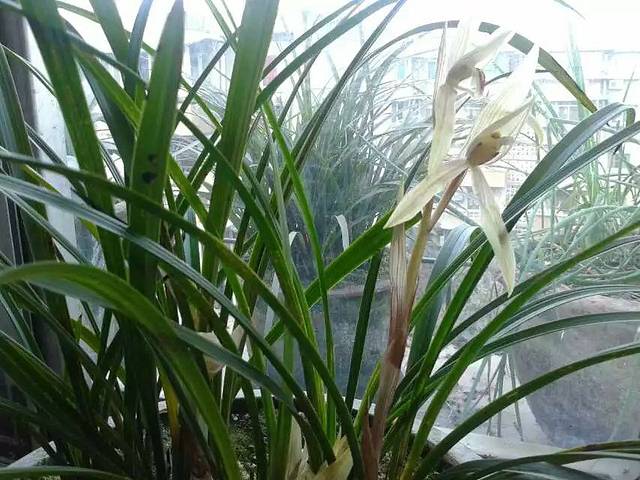 凉山红军长征纪念馆