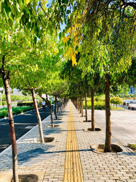 白泉山生态公园