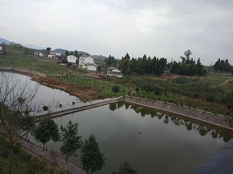 四川省渠县土溪初级中学旅游景点图片