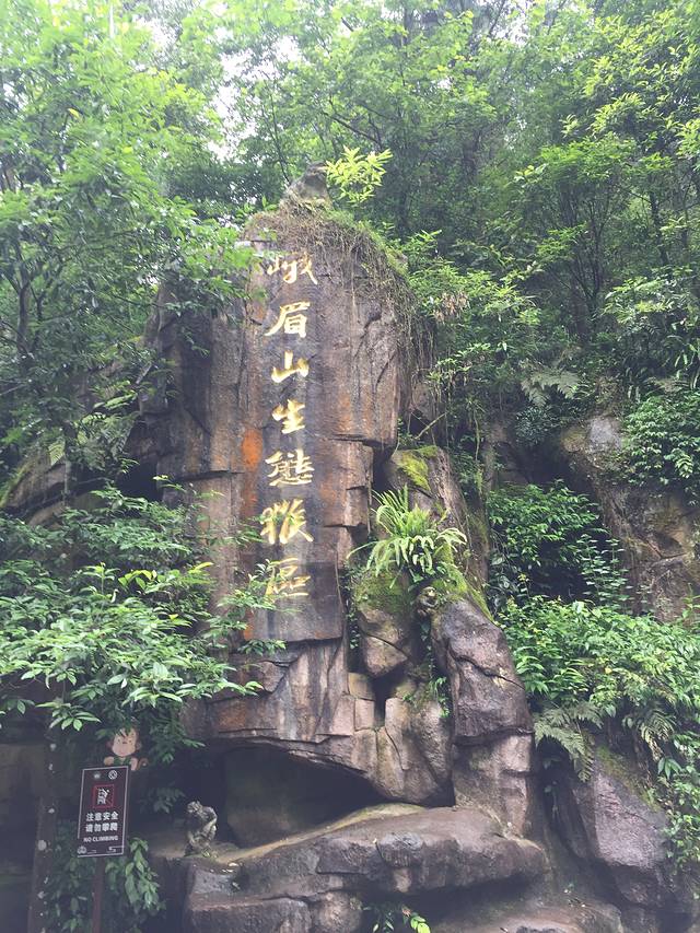 峨眉山生态猴区